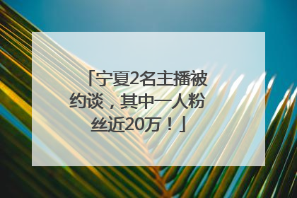 宁夏2名主播被约谈，其中一人粉丝近20万！